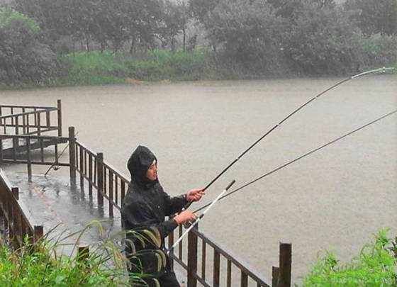 春季下雨天钓鱼钓深还是浅