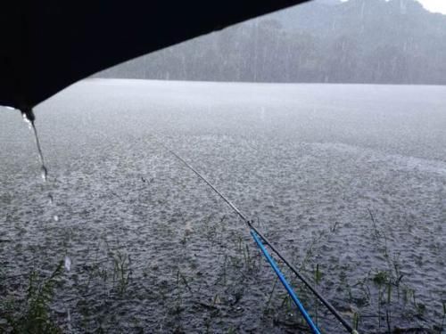 春季下雨天钓鱼钓深还是浅
