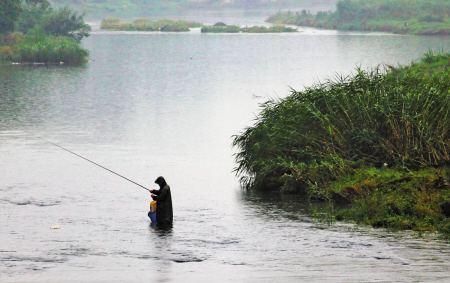 春季下雨天钓鱼钓深还是浅