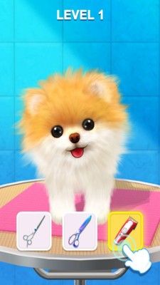 宠物修个毛