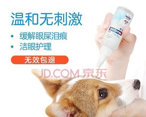猫咪眼药水有效期几个月（了解有效期）