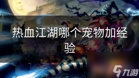 热血江湖哪个宠物加经验