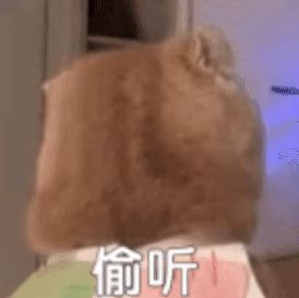 宠物犬图片(宠物犬品种大全)