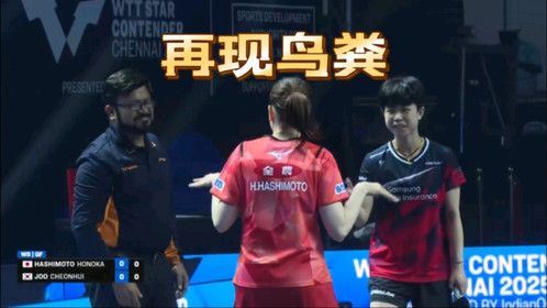 常规操作！WTT印度球场再现鸟粪，日乒队员模仿飞鸟，让人清理