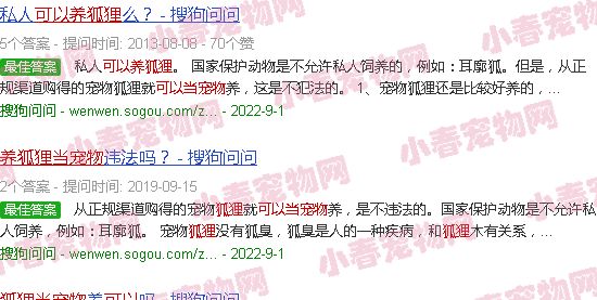 在中国可以养狐狸当宠物吗