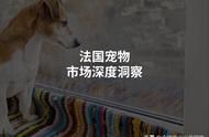 法国宠物市场现状分析与趋势预测