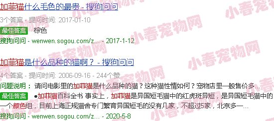 加菲猫的颜色大全