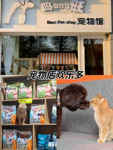 非常推荐的一家宠物店