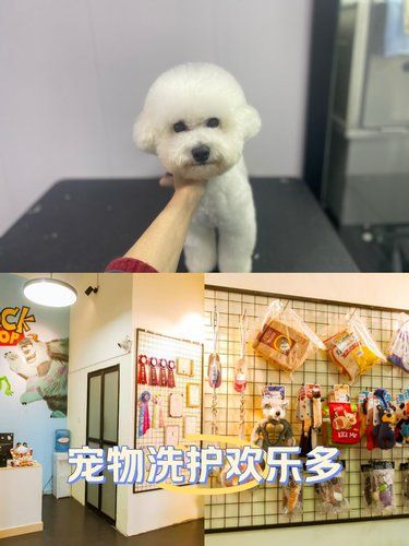 居然芥末可爱，又要被怪ee盯上了