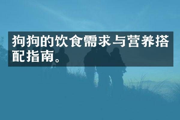 狗狗的饮食需求与营养搭配指南。