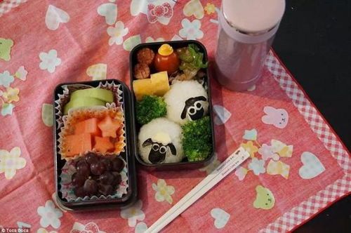 宠物营养午餐搭配指南