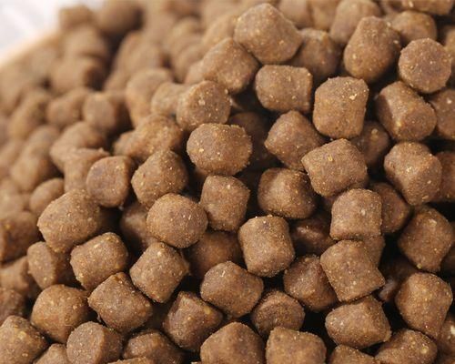 小狗狗粮拌什么比较好？适合狗狗的健康食品搭配指南？