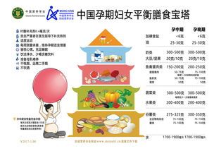 宠物营养:小狗蛋黄摄入量指南