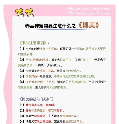 小型犬的健康饲养有哪些要点？如何制定饲养计划？