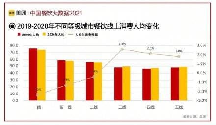 6月后泰迪食量调整,成犬饮食宜均衡。