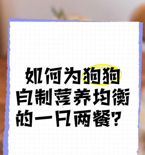 泰迪犬体重5斤时应吃多少鸡胸肉？如何合理安排泰迪的饮食？