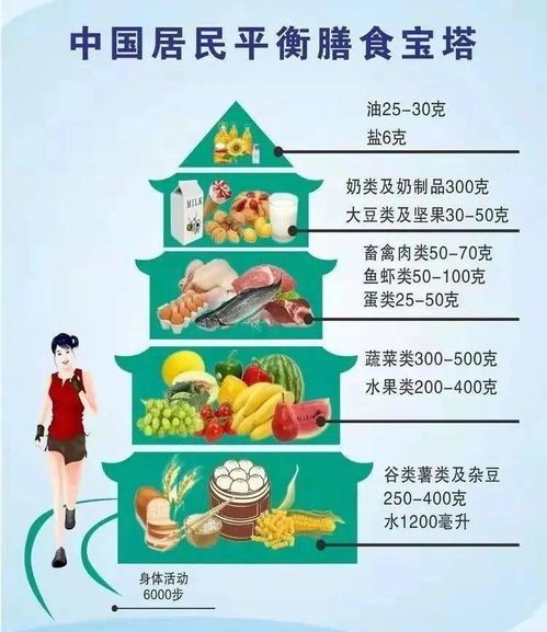 宠物减肥攻略:科学饮食,适量运动。