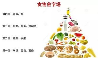 宠物减肥攻略:科学饮食,适量运动