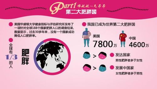 宠物减肥攻略,健康瘦身指南
