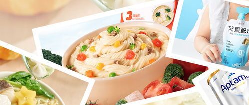 为宠物打造健康营养食谱