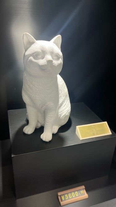 宠物离世后的温暖告别：火化服务指南
