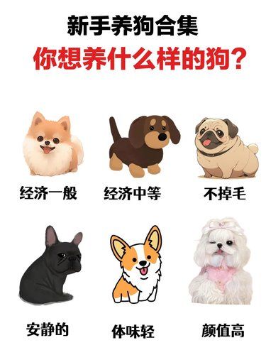 新手养狗秘籍 | 选对狗狗超重要❗❗