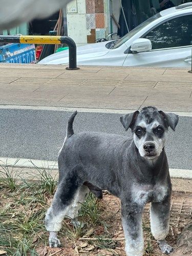 kobe的娘家