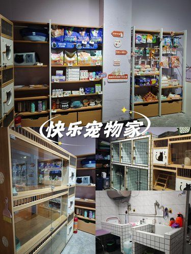 喵星人的美容院日常