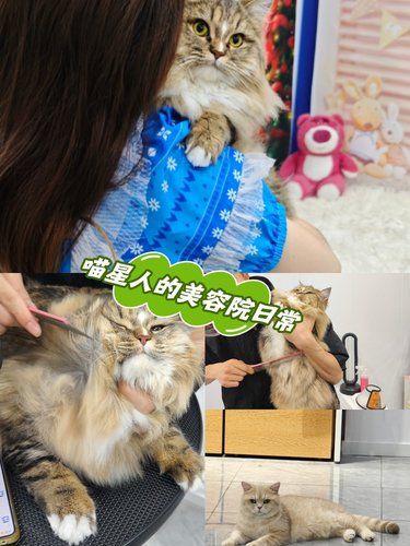 赛级沐浴露香出天际❗