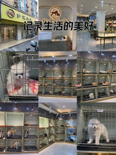 快乐宠物家：梦宠山庄 宠物乐园