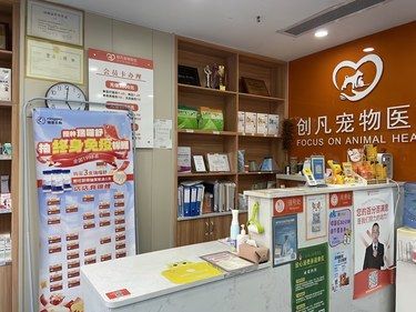 小臭狗儿来洗澡啦
