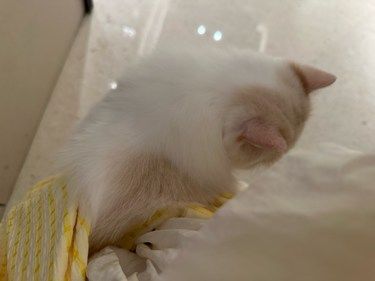 暖心洗澡记