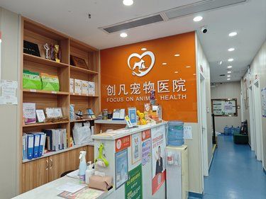 小猫咪驱虫啦