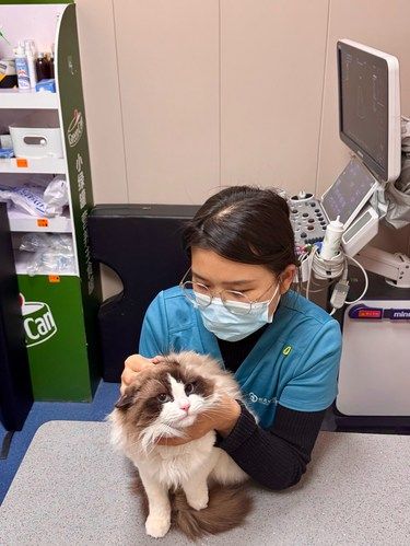 猫咪食欲不振怎么办❓❗‼