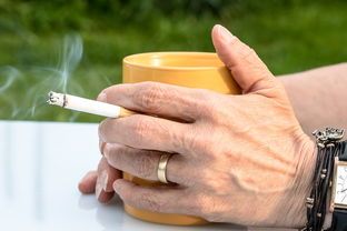 揭秘中国宠物牙刷品牌，呵护宠物口腔健康，从一把牙刷开始