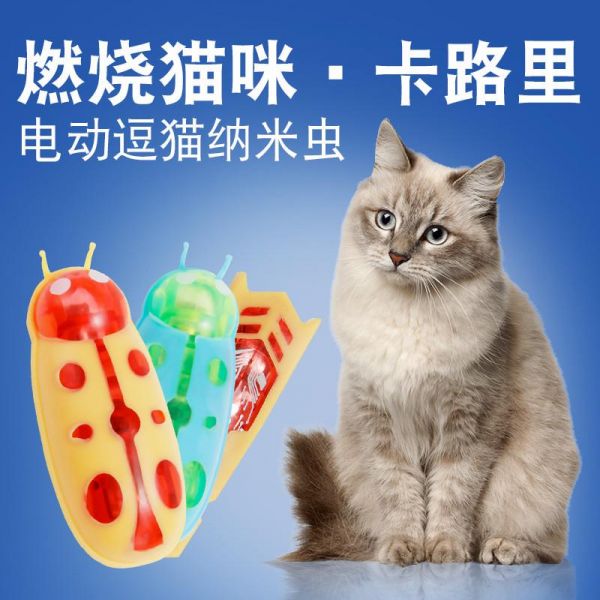 小薇可爱小店套装玩具