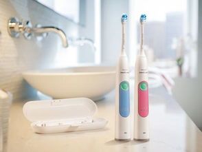 挑选宠物牙刷,关注口腔健康