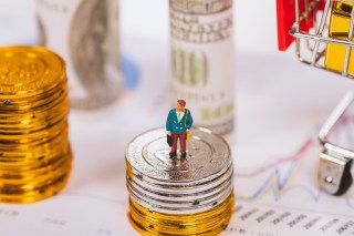 韩国宠物推车销量首次超过婴儿车销量