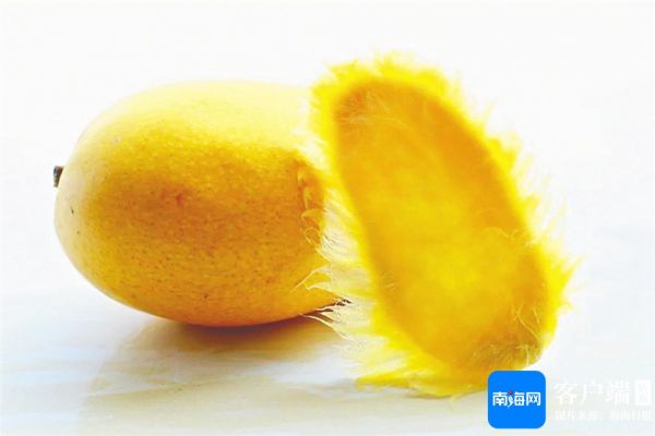　　资料图：用芒果核做的造型各样的芒狗。