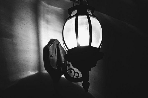 奇葩宠物产品设计图案例_奇葩宠物产品设计图案例大全