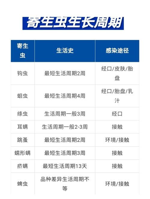 宠物除虫,频率知多少?#宠物日常# #养宠小贴士