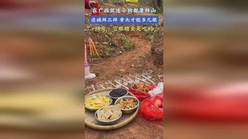 在广西就连小狗都要拜山，虔诚拜三拜，骨头才能多几根，网友：它眼睛全是吃的