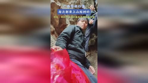 广西祭祖扫墓，每次都要上山爬树的，网友：每年的广西扫墓也是越来越离谱
