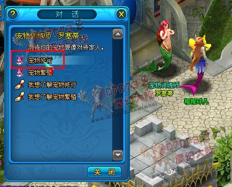 魔幻大陆宠物修行