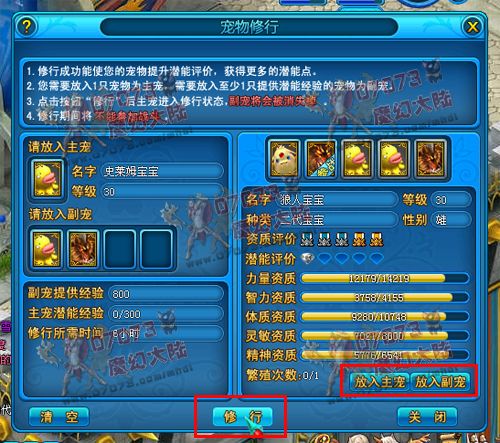 魔幻大陆宠物修行