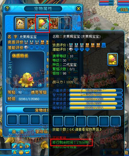 魔幻大陆宠物修行