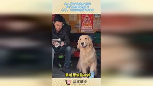 主人带汗脚狗子修鞋，狗子尴尬的想逃走，大爷：这鞋非穿不可吗！