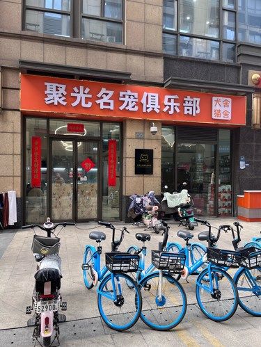 这是一家很时尚的店！店里有很多小猫小狗！