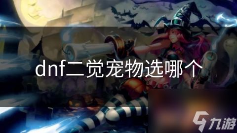 dnf二觉宠物选哪个
