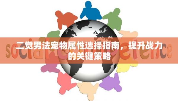 二觉男法宠物属性选择指南，提升战力的关键策略
